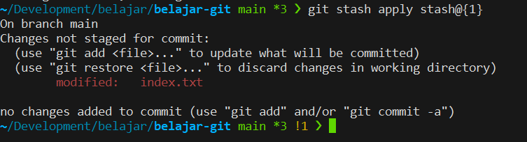 Git Stash Apply