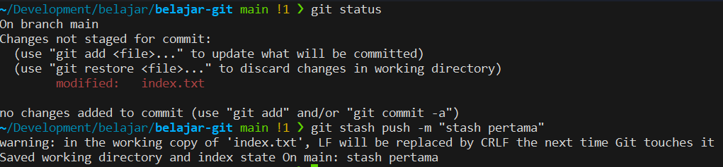 Git Stash Push